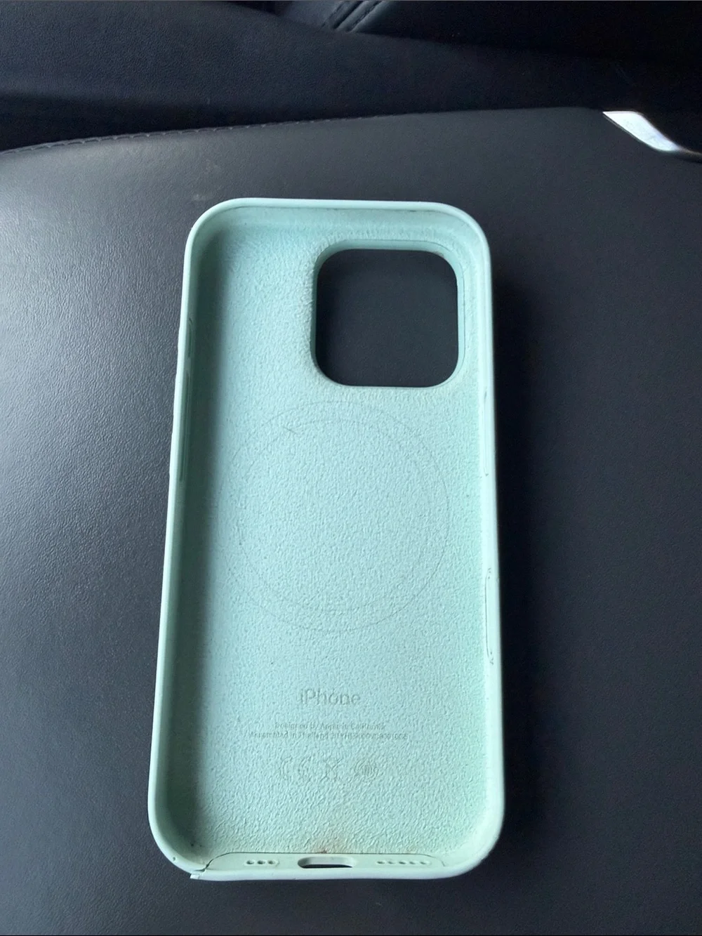 Apple Silicone iPhone Case - Mint Green